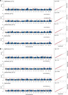 Genome-wide association identifies genomic regions influencing fillet color in Northwest Atlantic salmon (Salmo salar Linnaeus 1758)